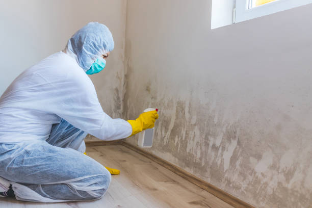 Hvac And Air Duct Mold Remediation inspection of HVAC system in Mount Laurel