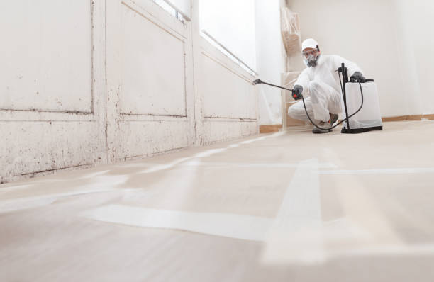 Black mold remediation team in Mount Laurel