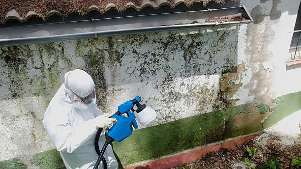 Mold Removal service in Mount Laurel